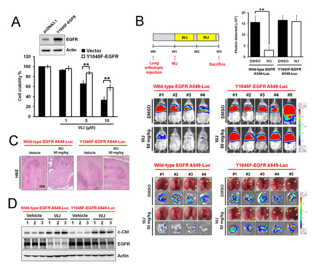 fig6