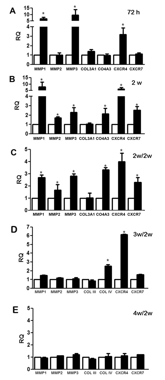 fig3