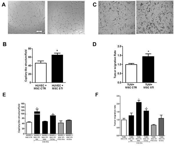 fig4