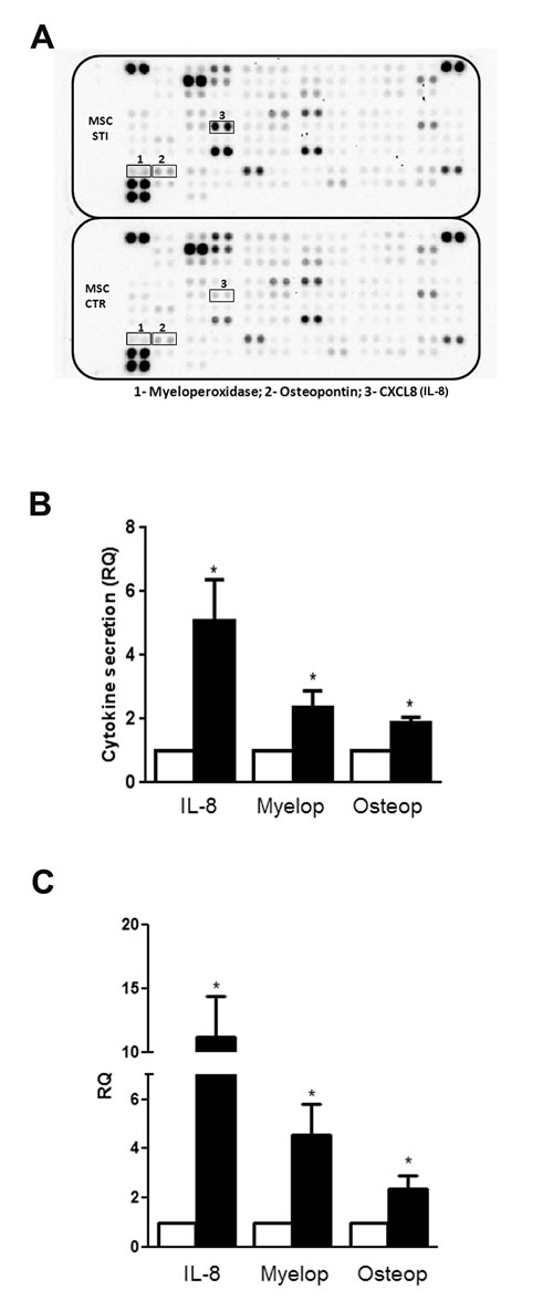 fig5