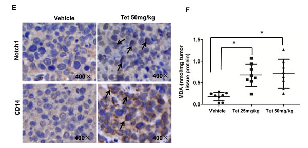 fig1b