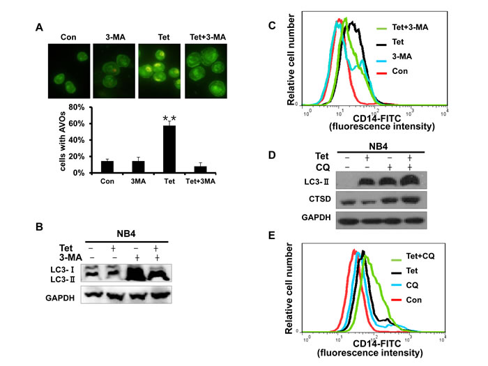 fig6