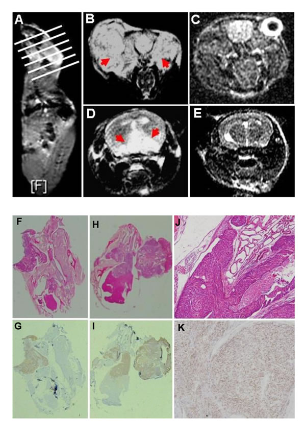 fig2