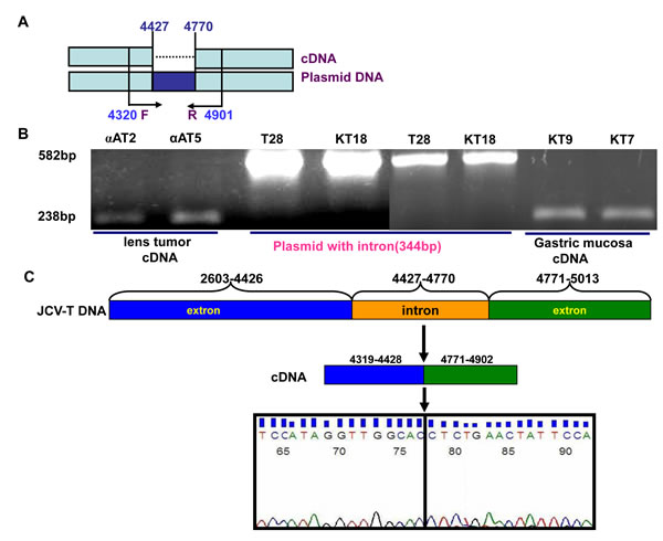 fig6a