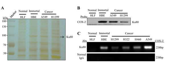 fig1