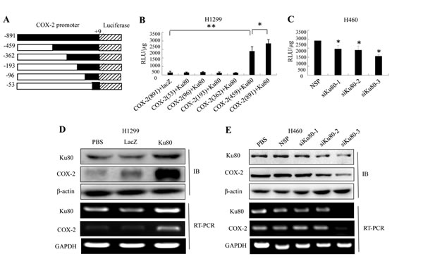 fig2