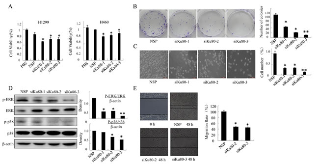 fig3