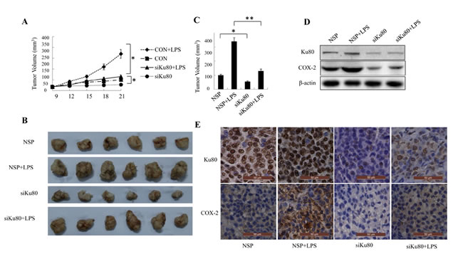 fig6