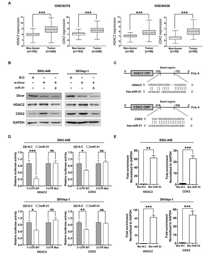 fig2