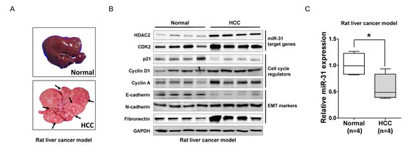fig5