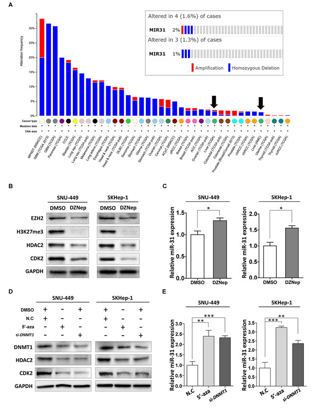 fig6