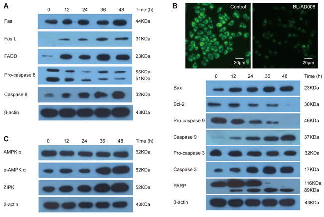 fig6