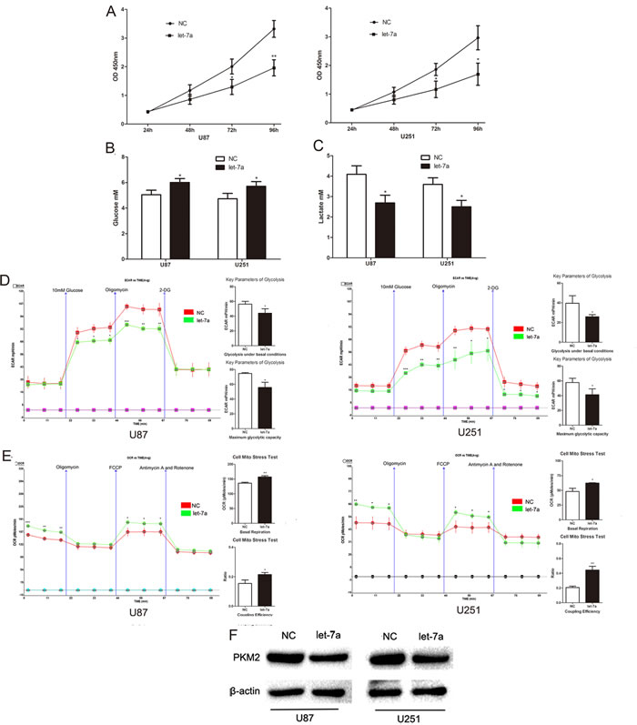 fig2