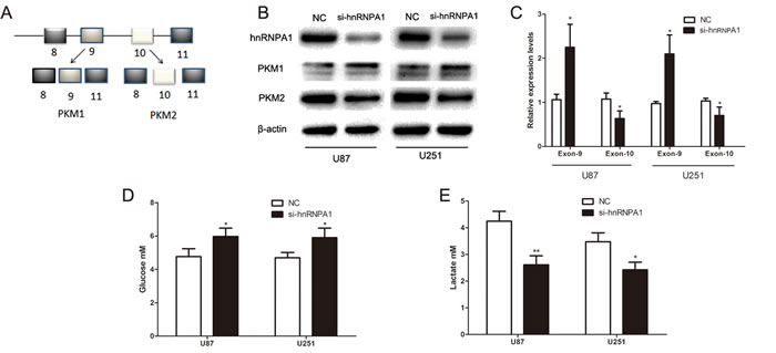 fig3a