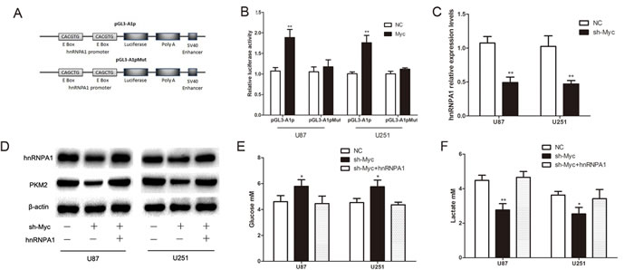 fig4a