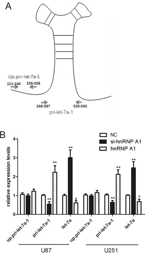 fig6
