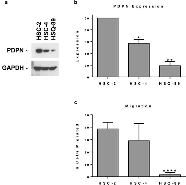 fig2