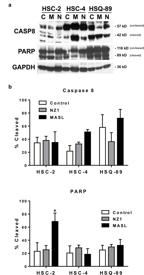 fig6