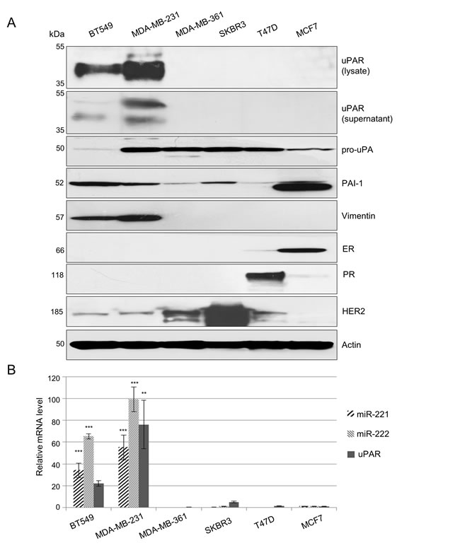 fig1
