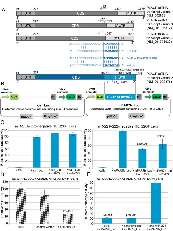 fig3