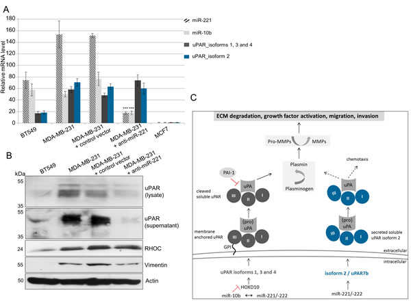 fig4