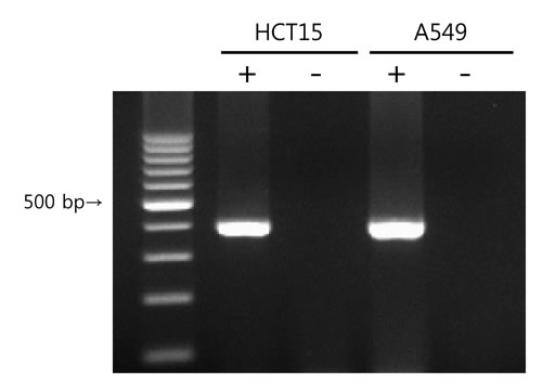 fig1