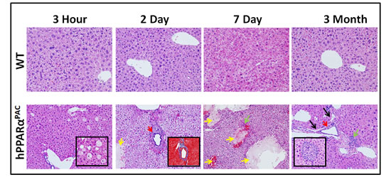 fig6
