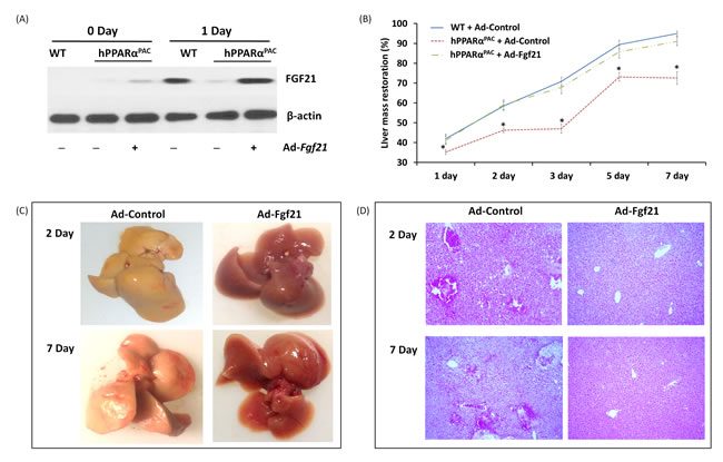 fig10