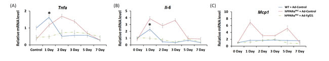 fig12