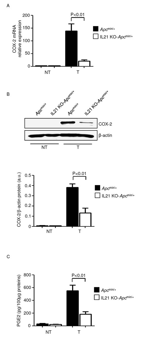fig7