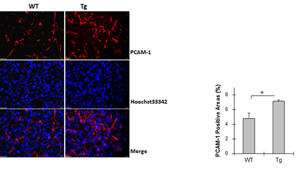 fig2