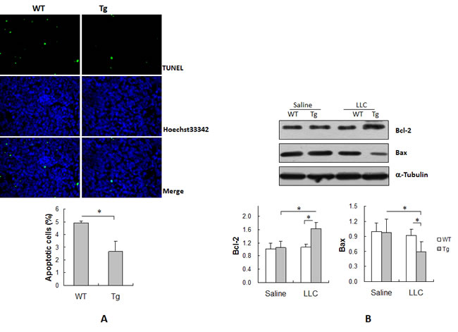 fig3