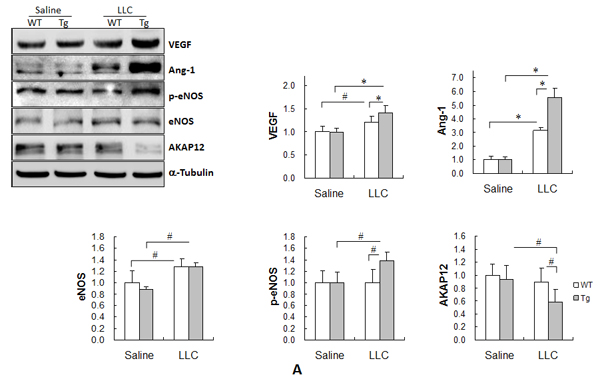 fig5a