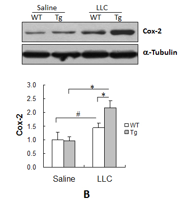 fig5b