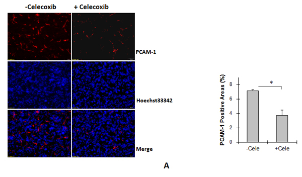 fig7a