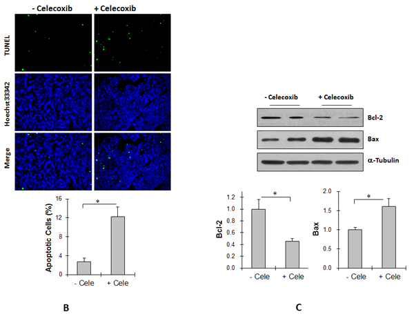 fig7b