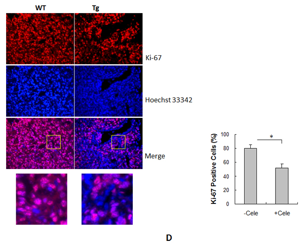 fig7c