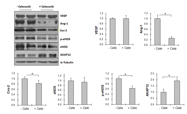 fig8