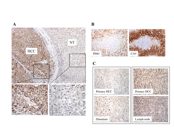 fig1
