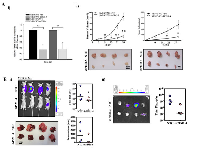 fig2