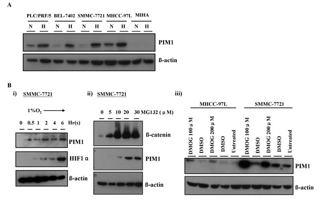 fig3