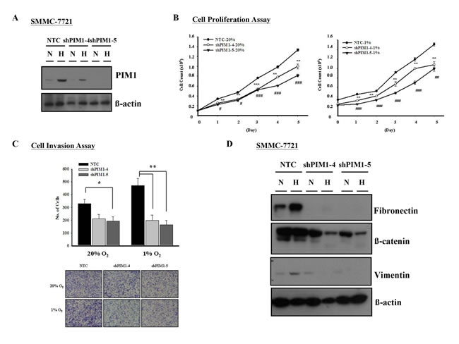 fig4