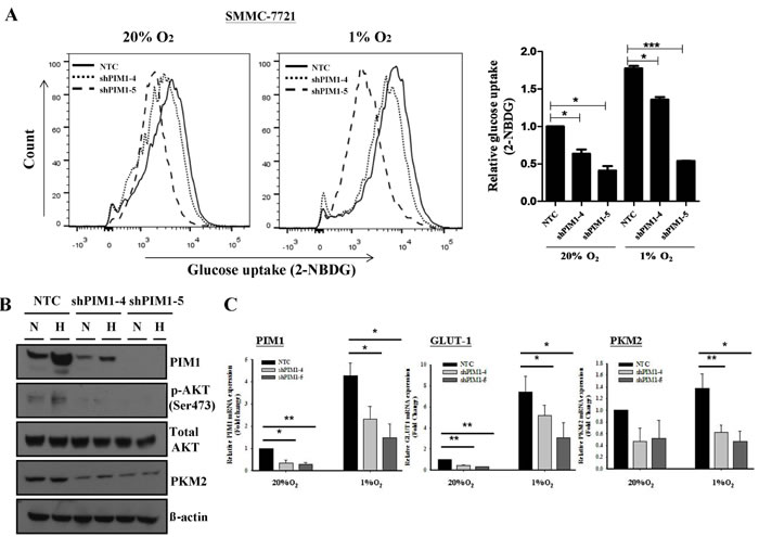fig5a