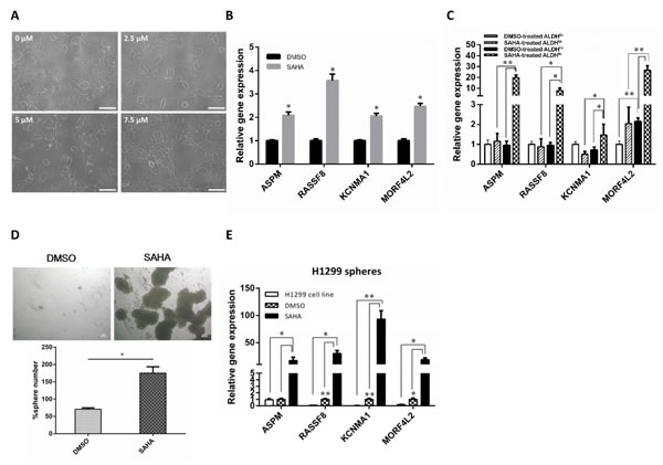 fig1
