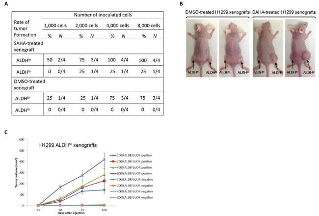 fig6