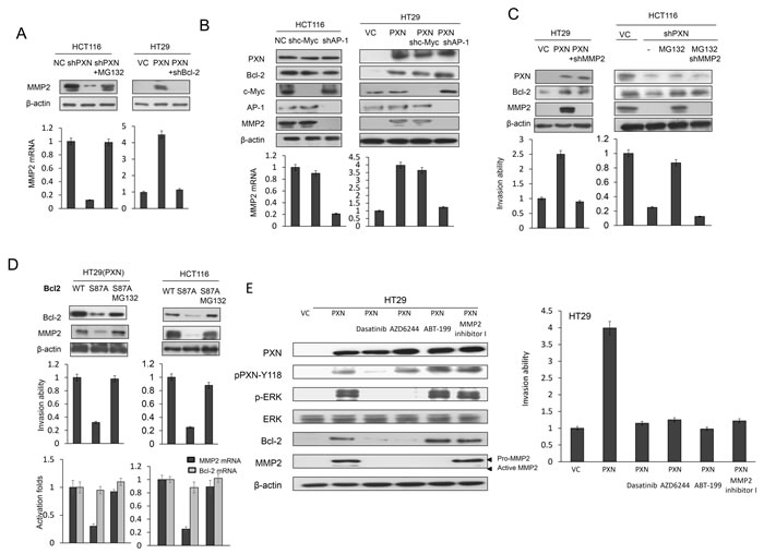 fig2
