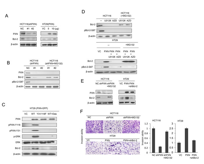 fig1