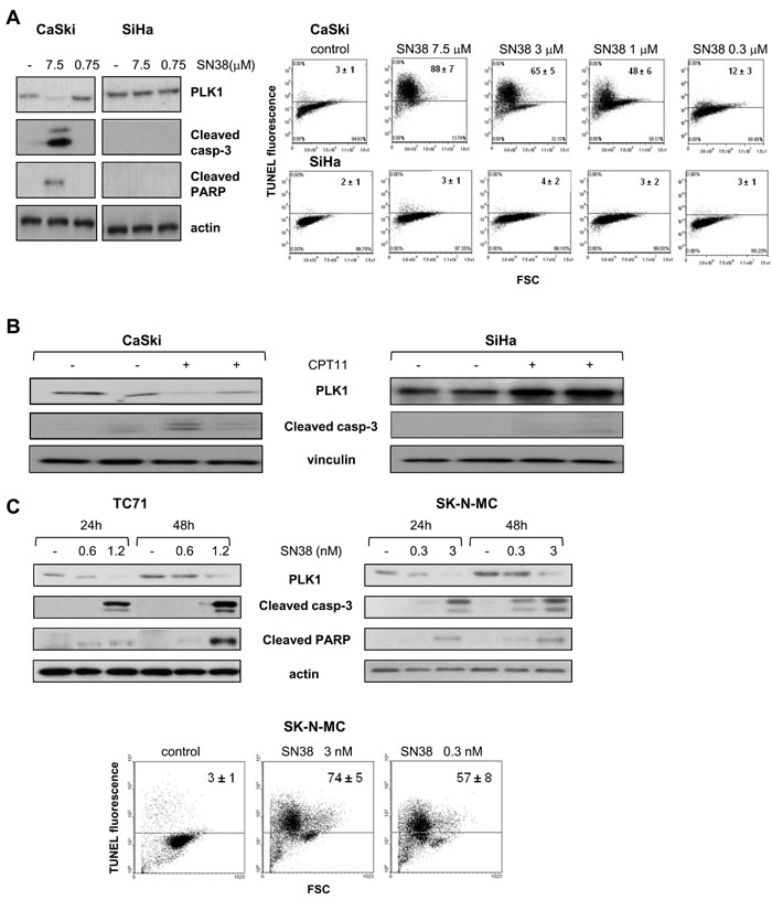 fig1