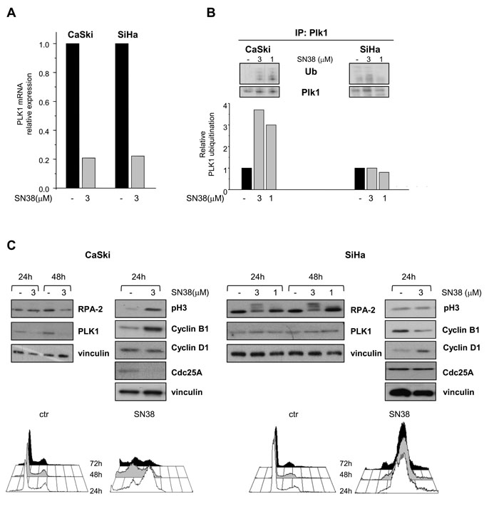 fig2