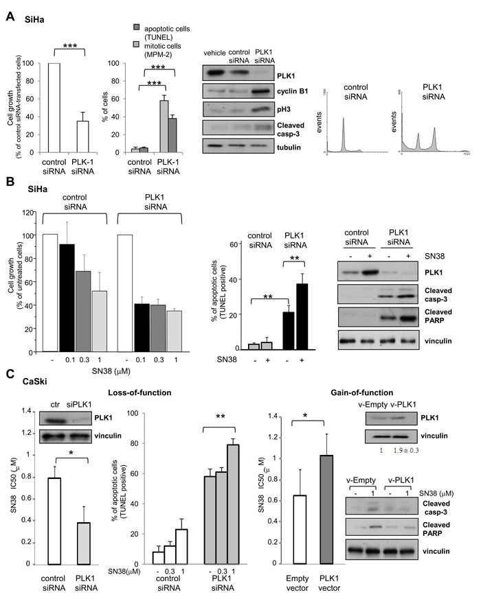 fig3